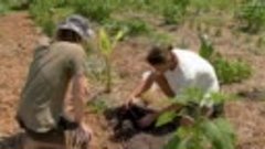 Gardening Australia 2024 episode 13