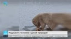 На Ямале разработали программу «Медвежий патруль»