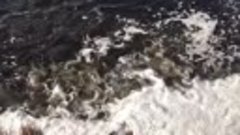 Поронайский район. Рыбы тьма. Источник видео  @rybalkasakhal...