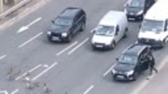 Traffic stops on busy road to let family of ducks cross it ?...