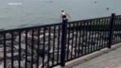 Video_shows_New_Jersey_man_jumping_into_Hudson_River_to_resc...