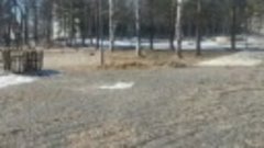 В Дальнереченске продолжается строительство детского парка