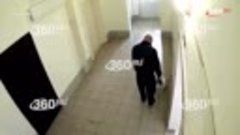 Видео садист избивает щенка в лифте челябинской многоэтажки