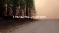 😱 «Вот это прет!». Огненный ад в лесах Усть-Баргузина