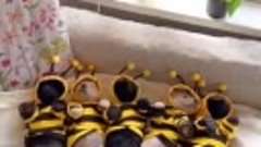 Неправильные пчёлы 😊нажужжались и спят...