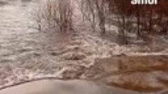 Паводок в Амурской области набирает силу