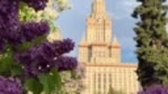 💖 Сирень цветёт в ботаническом саду Московского университет...