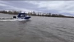 Уровень воды в реке Ишим в Викулово побил рекорд паводка 201...