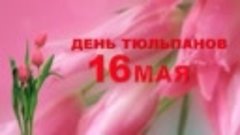 16 Мая  День Тюльпанов! Красивая видео открытка  Весенняя ме...