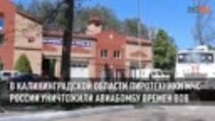 В Калининградской области пиротехники МЧС России уничтожили ...