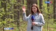 В Рязанской области аномальное нашествие мошек и комаров