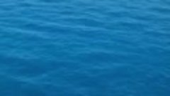 Видео стрельбы по украинским морским дронам в Чёрном море.