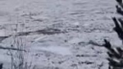 👀🧊 #Видеофакт_ Ледоход на реке Лена 