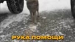 Видео на телеканале ЧЕ!