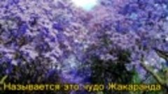 VIDEO-2024-05-05-13-59-58