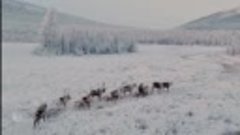 Дальний Восток - Земля Приключений