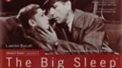 Raymond Chandler - The Big Sleep 1, read by Elliott Gould