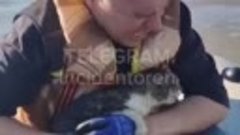 «Вон мордочка торчит, она еще дышит»: в Орске спасли кошку