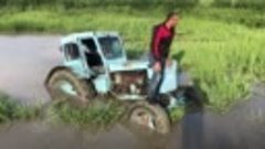 Трактор Беларус или Трактор Т40 в болоте воде