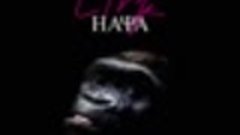Haya Band - Link (Full Album 2019)