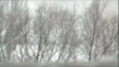 Борис Пастернак “Снег идет“