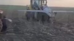 Поволжские фермеры убрали со своего поля урожай в виде украи...