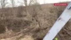 Видео от Вооружённые Силы Новороссии (ВСН)