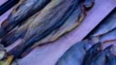 Lingen‘s einzigartige Fisch-Auswahl 😍