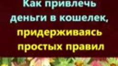 Как привлечь деньги в кошелек, придерживаясь простых правил