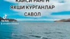 САВОЛ сизларга