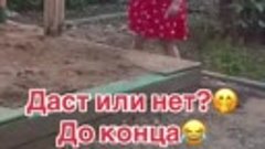 Мороженое даст или нет?