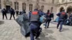 Полиция Парижа разгоняет демонстрантов &quot;за освобождение Пале...