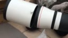 Canon EF 600mm f_⁄4L IS III USM