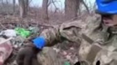 Очередному украинскому солдату удалось выжить, сдавшись в пл...