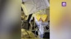 Видео из самолета Singapore Airlines, где погиб пассажир