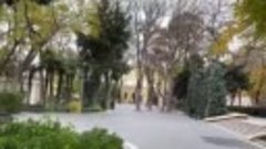 Баку  прогулка до Филармонии  Скоро Новый год! - YouTube.mp4
