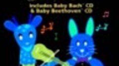 Baby Einstein: 2-Disc Value Pack - Baby Bach &amp; Baby Beethove...