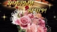 Добрый вечер