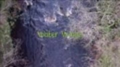 Milkshake Secret Life of the Forest S01E03 ~ Water Wings
