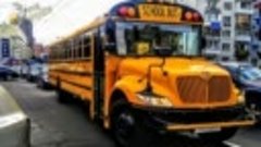 Почему в Американских школьных автобусах нет ремней безопасн...