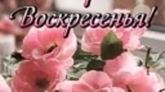 Воскресенье, доброе утро!