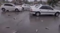 Дождь из рыбы прошел в иранском городе Ясудж