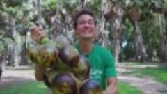 Watch the amazing process making toddy palm fruit curry in T...