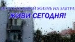 Без названия 1