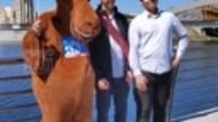 🐪 Верблюд «Нашего Челябинска» поздравил выпускников