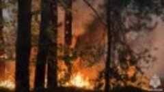 Спасатели МЧС России ликвидируют лесной пожар в Станично-Луг...