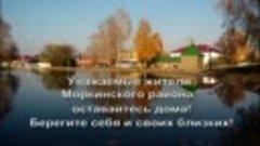 Администрация Моркинского муниципального района