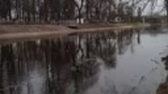 Слоним, городской парк, канал Огинского #утренняяпрогулка, #...