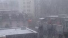A sosit iarna -prima zi de ninsoare la Elvetia .Ninge foarte...