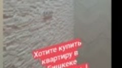 Купи квартиру в Бишкеке ! 